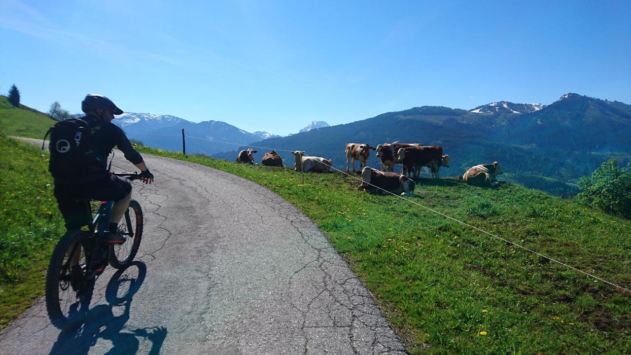 Appartementhaus Unterkofler Grossarl Exteriör bild